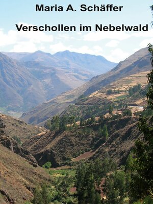 cover image of Verschollen im Nebelwald